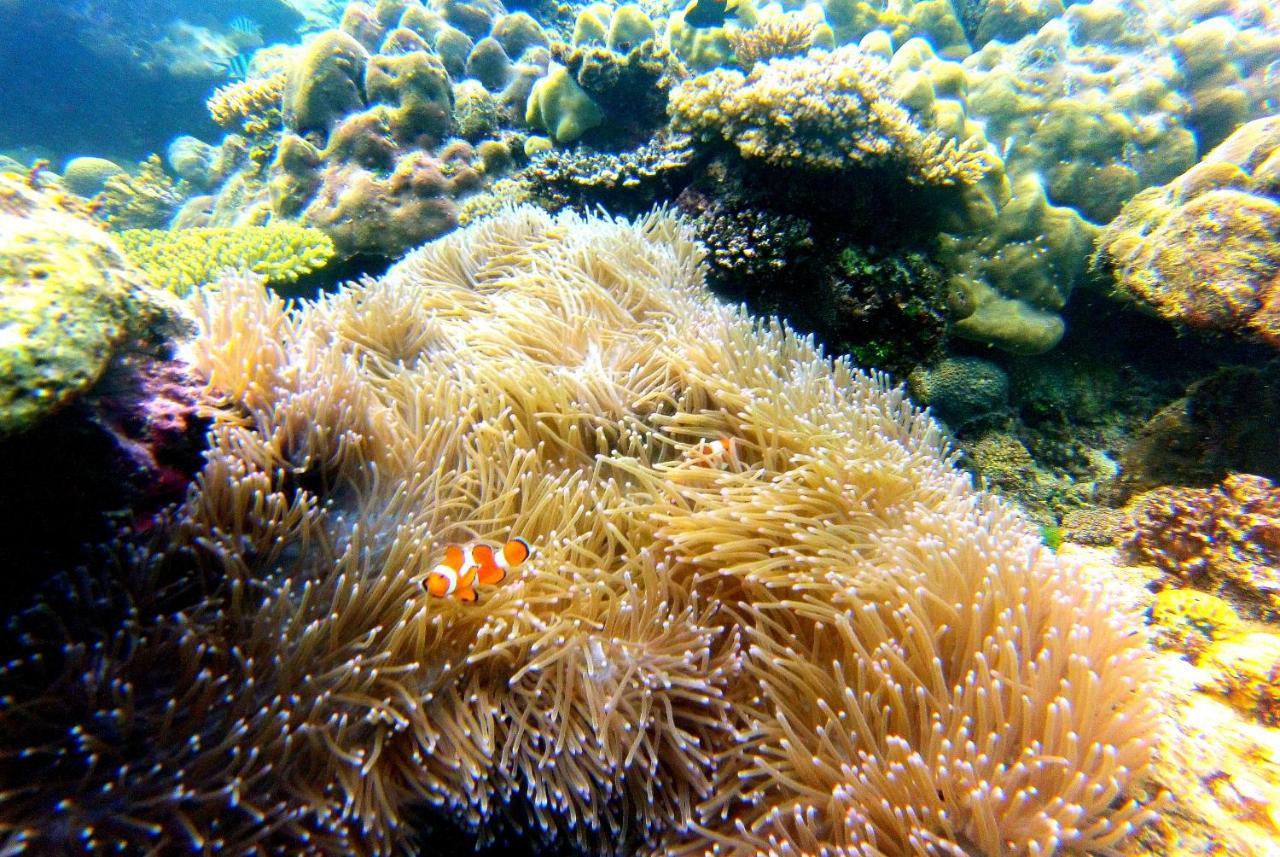 Arkadia Beach Resort Underground River Sabang  Exterior foto